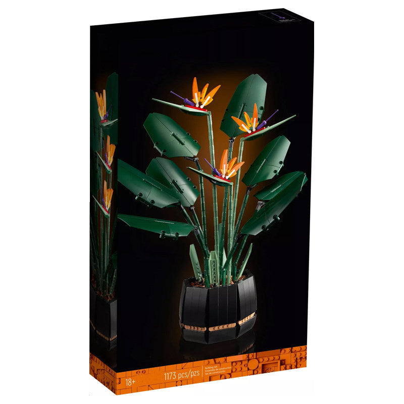 "Puošnioji strelicija" Konstruktorius