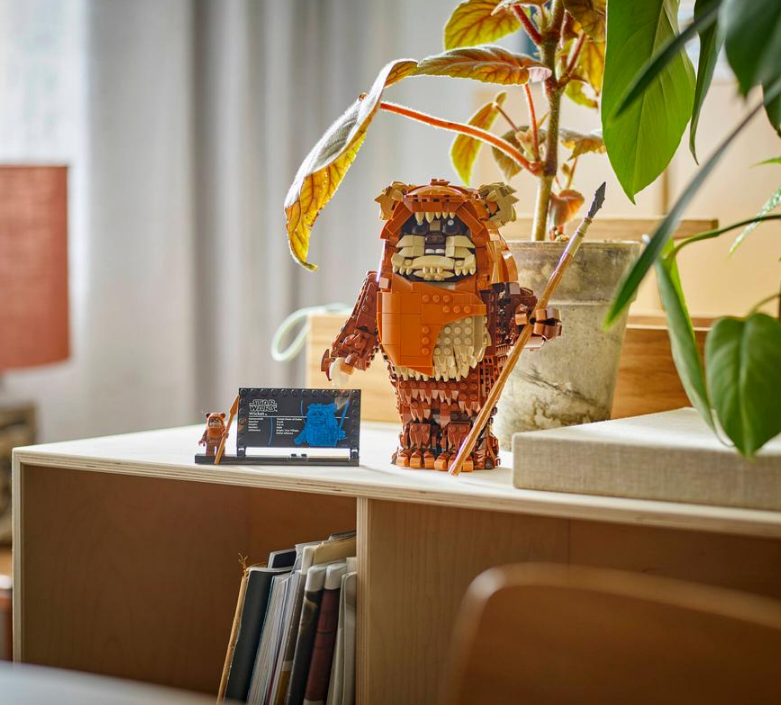 "Ewok" Konstruktorius