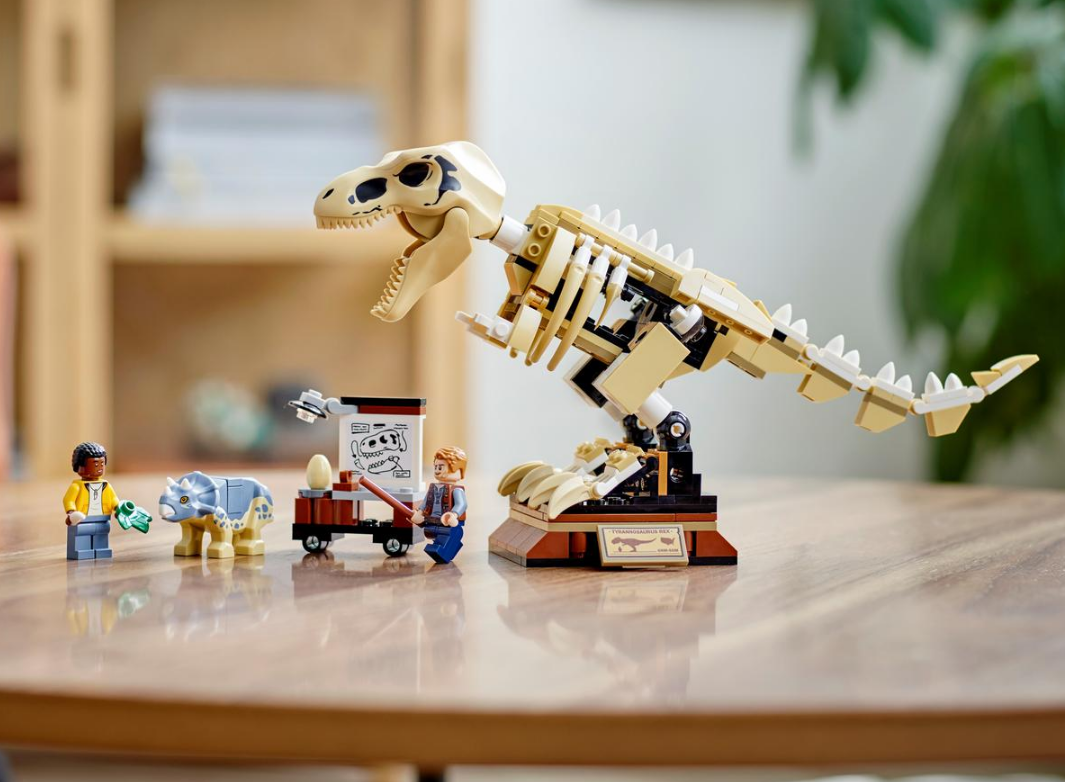 "Tiranozauro fosilijos paroda" Konstruktorius