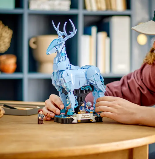 "Expecto Patronum" Konstruktorius